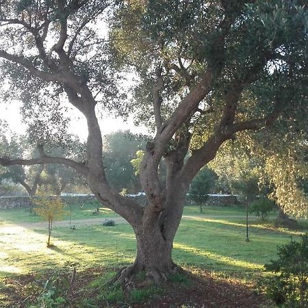 Villa Sol Invictus Est Serranova Exterior foto
