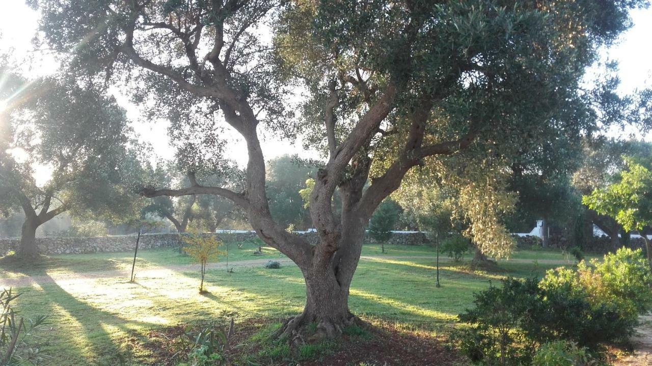 Villa Sol Invictus Est Serranova Exterior foto